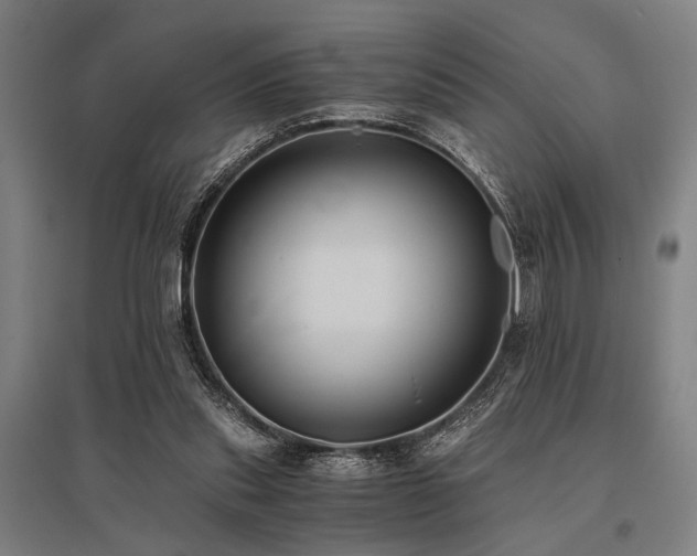 X0000096180253200801181318