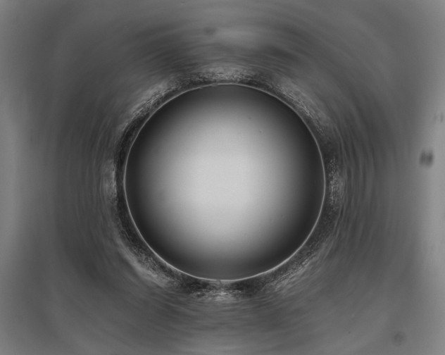 X0000096180254200801181318