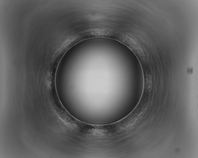 X0000096180255200801181318
