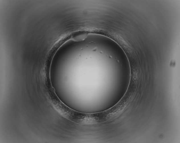 X0000096180256200801181318