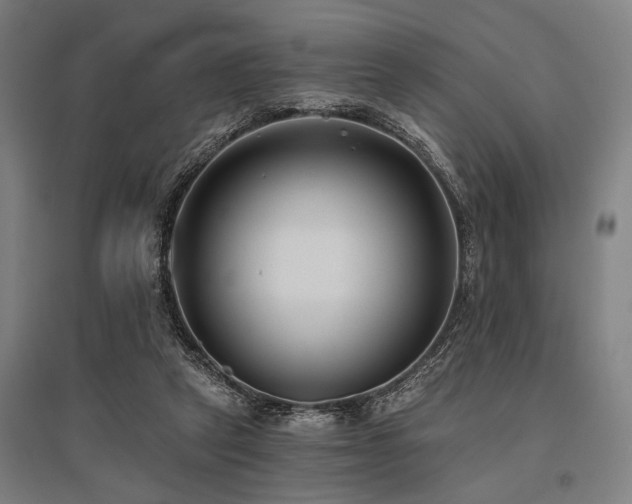 X0000096180257200801181318