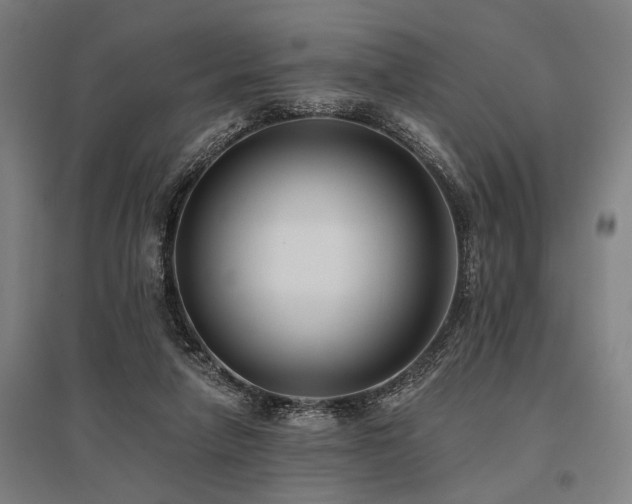 X0000096180258200801181318