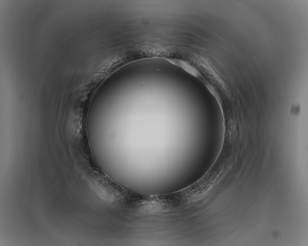 X0000096180259200801181318