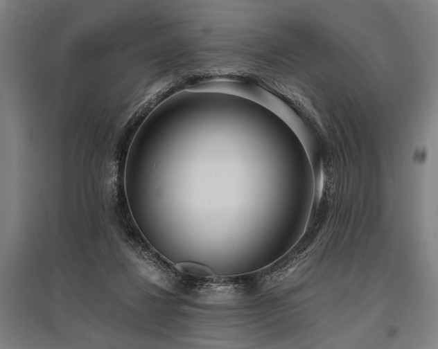 X0000096180260200801181318