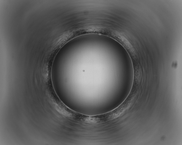 X0000096180261200801181319