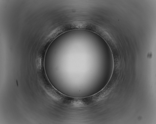 X0000096180262200801181319