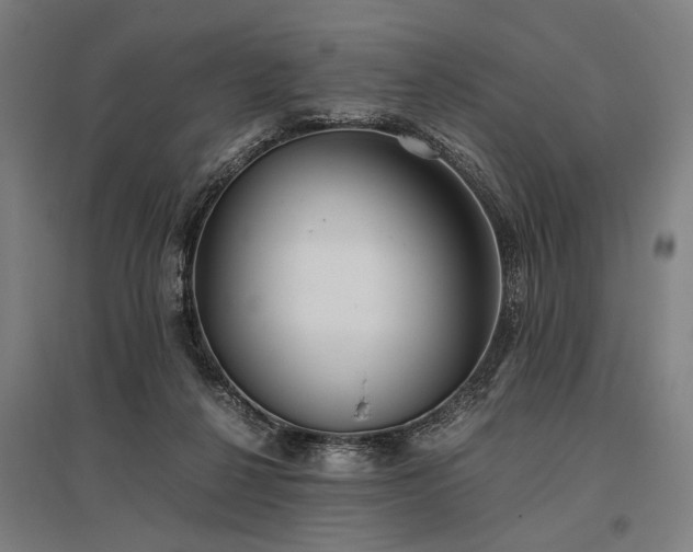X0000096180264200801181319