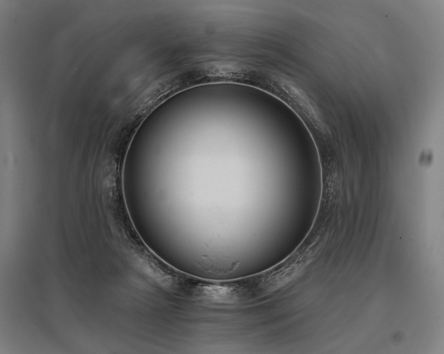 X0000096180265200801181319