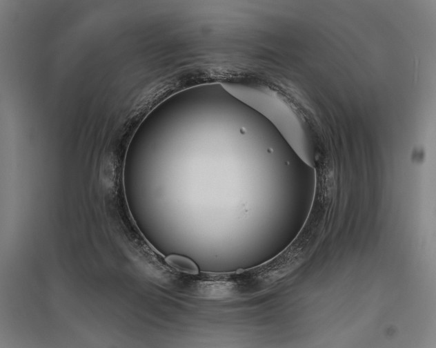X0000096180266200801181319