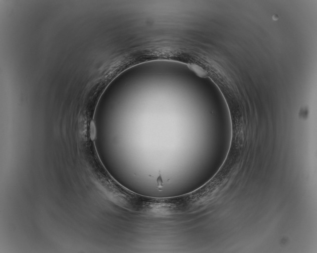 X0000096180268200801181319