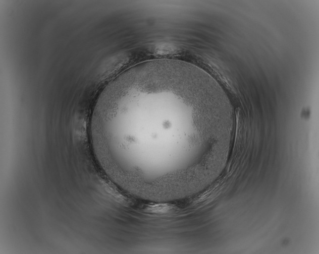 X0000096180269200801181319