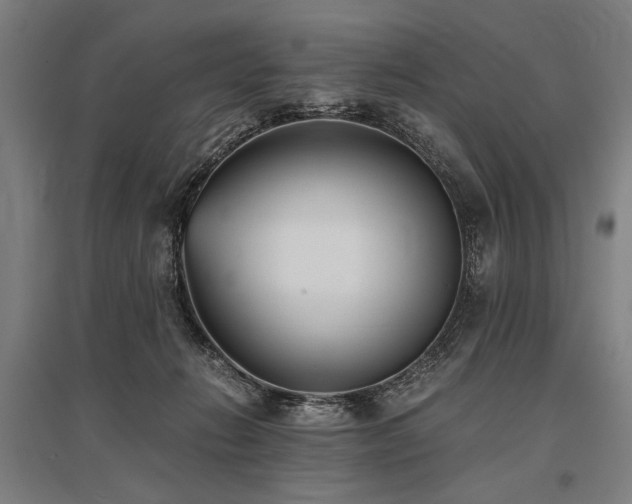 X0000096180270200801181319