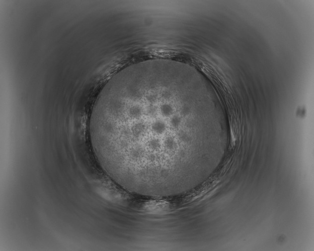 X0000096180271200801181319
