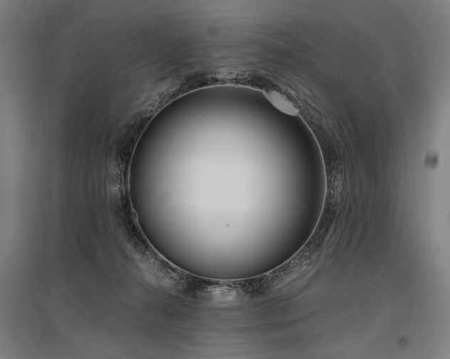 X0000096180272200801181319