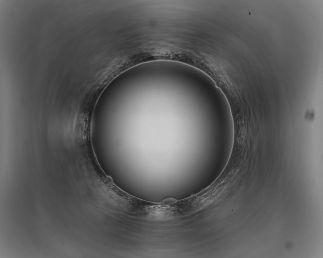 X0000096180273200801181319