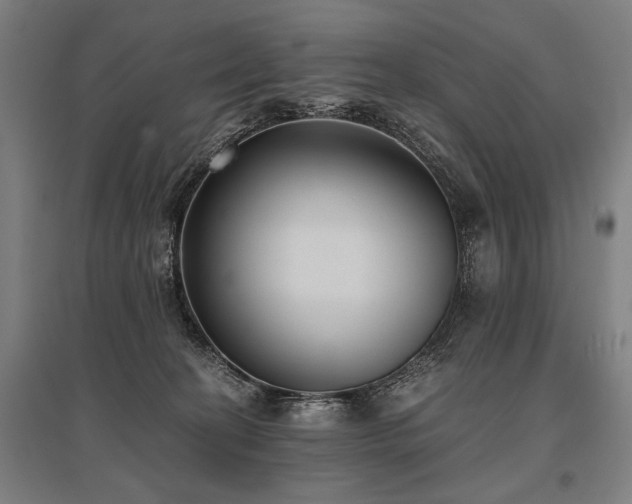 X0000096180274200801181319
