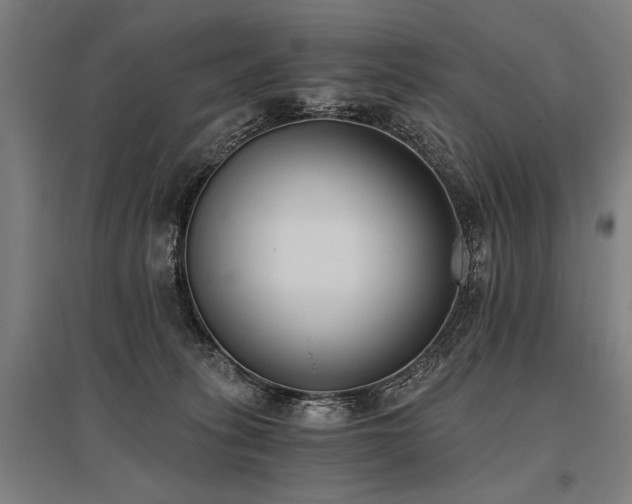 X0000096180275200801181319