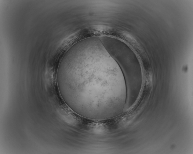 X0000096180276200801181319