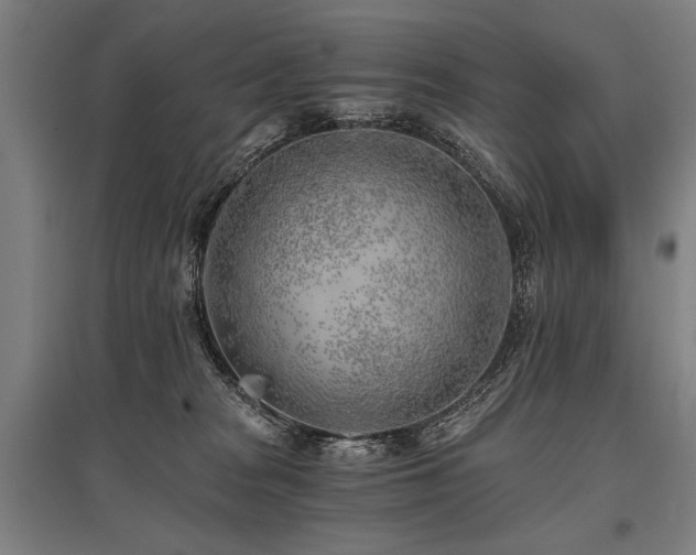 X0000096180277200801181319