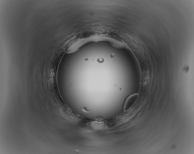 X0000096180279200801181319