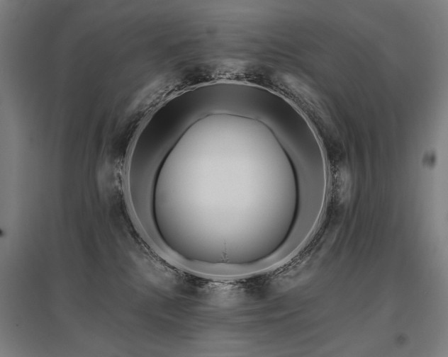 X0000096180280200801181319