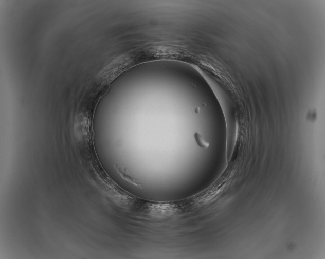 X0000096180281200801181319