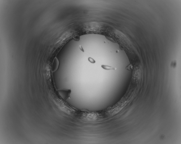 X0000096180282200801181319
