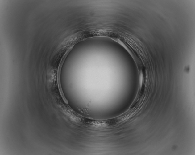 X0000096180284200801181319