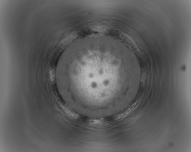 X0000096180285200801181319