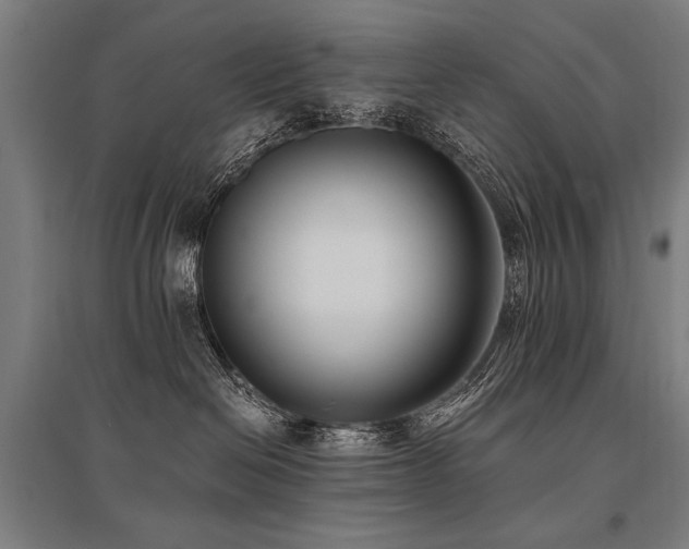 X0000096180286200801181319
