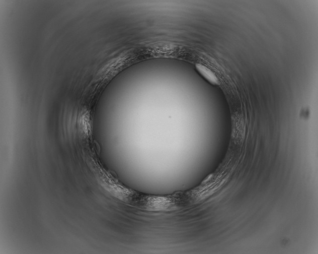 X0000096180287200801181319