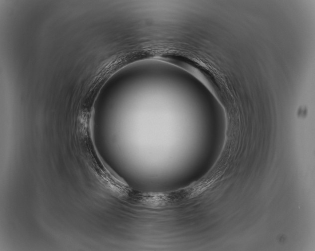 X0000096180288200801181319