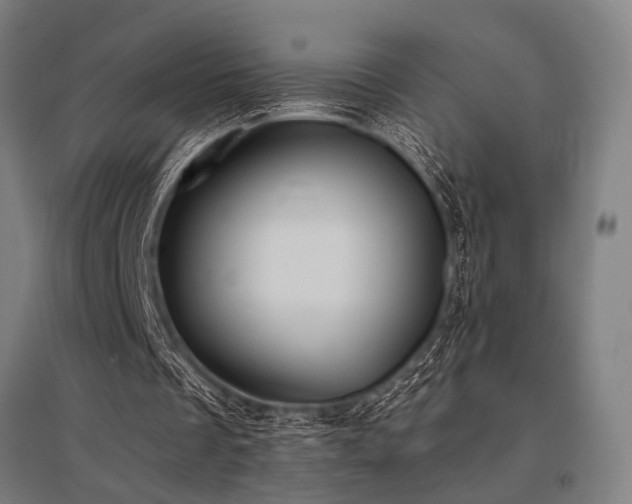X0000096180289200801181318
