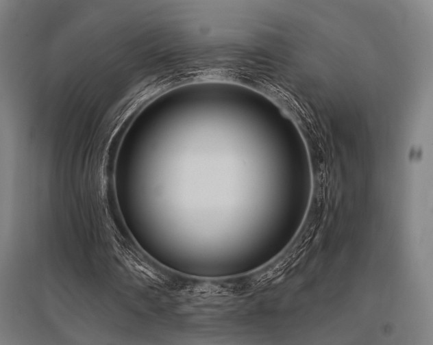 X0000096180290200801181318