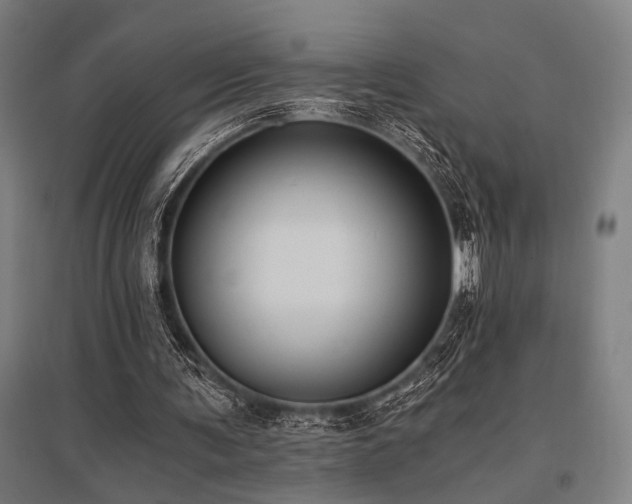 X0000096180291200801181318