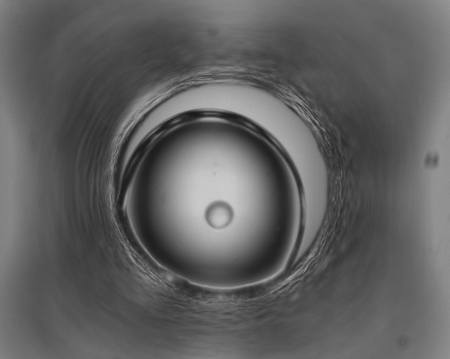X0000096180293200801181318