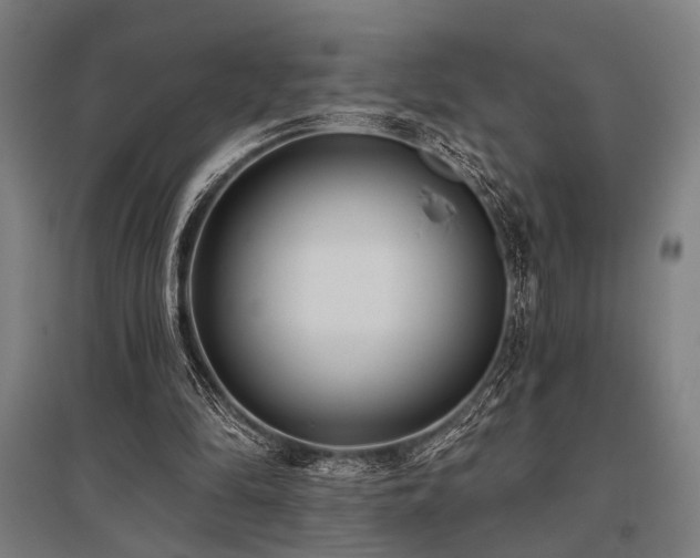 X0000096180294200801181318