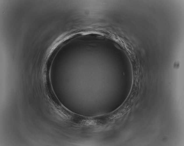 X0000096180295200801181318