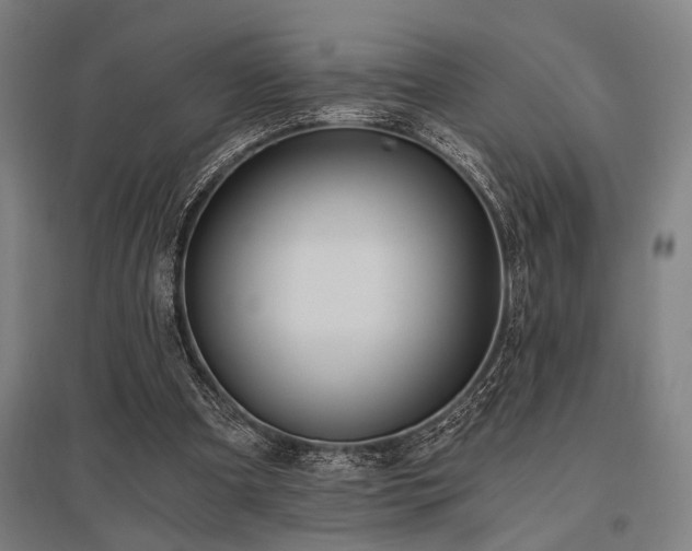 X0000096180297200801181318