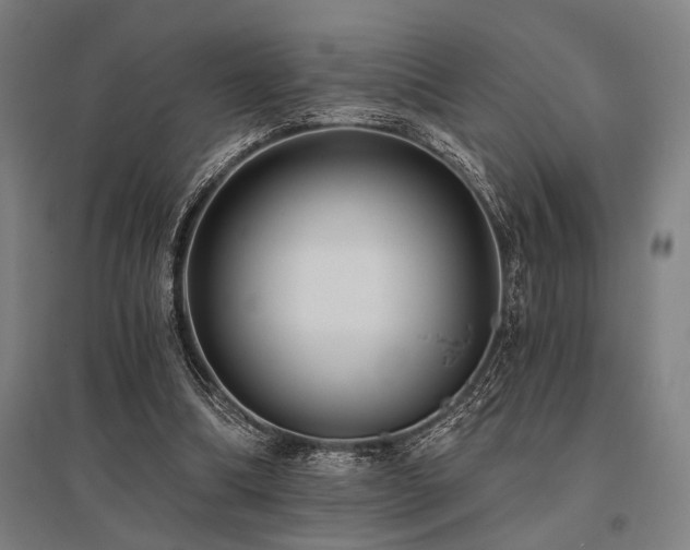 X0000096180298200801181318