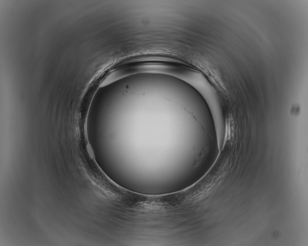 X0000096180300200801181318