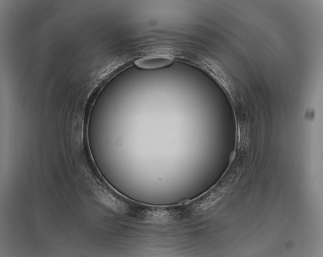X0000096180301200801181318