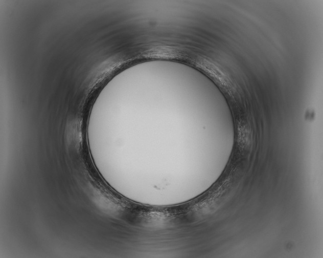X0000096180302200801181318
