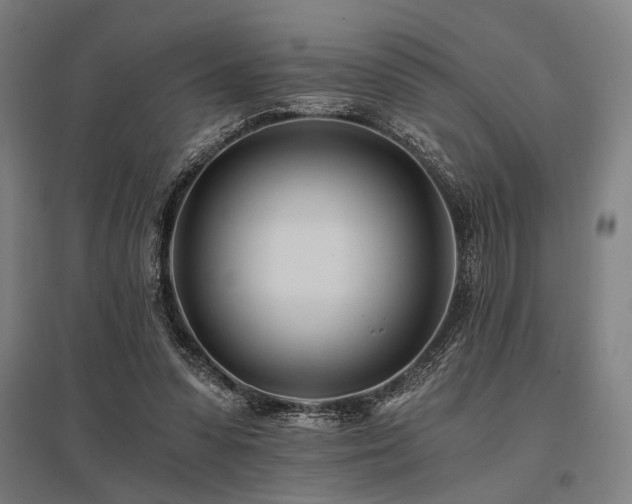 X0000096180303200801181318