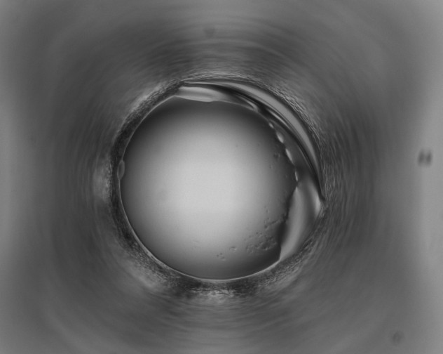 X0000096180304200801181318