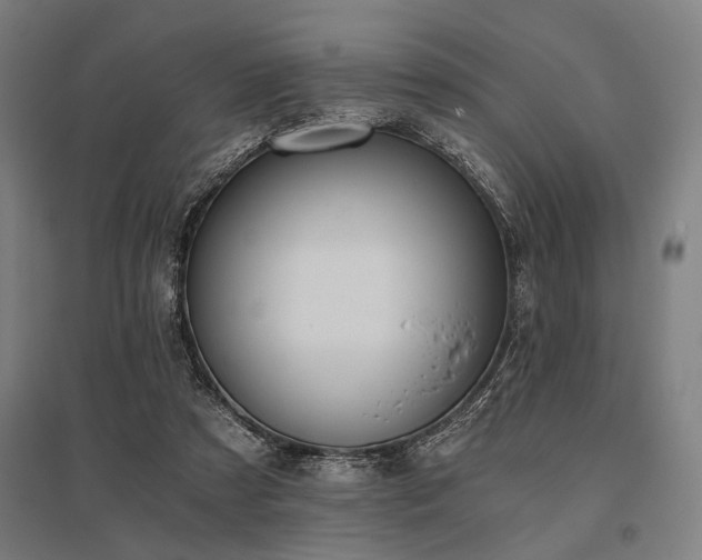 X0000096180305200801181318