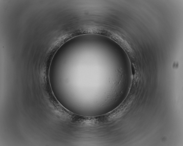 X0000096180306200801181318