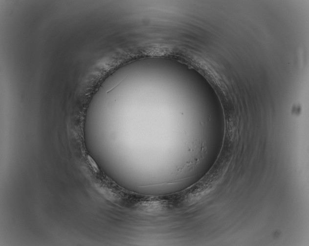 X0000096180307200801181318
