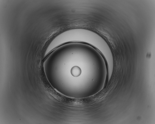 X0000096180308200801181318