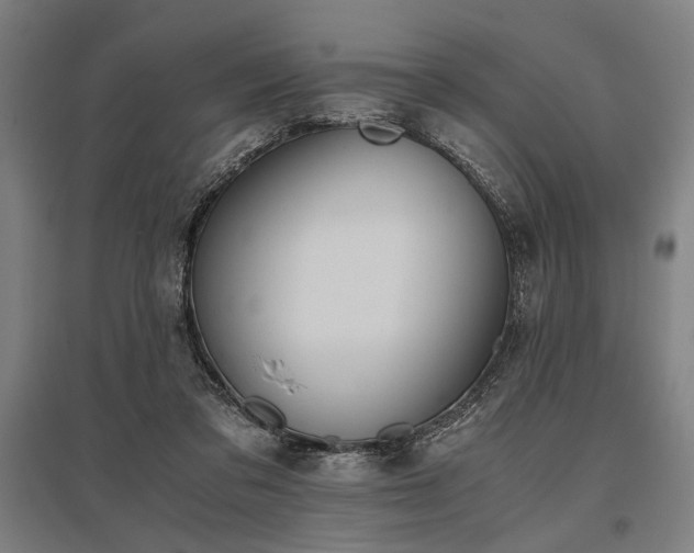 X0000096180309200801181318